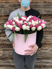 Квіти у коробці "101 тюльпан"