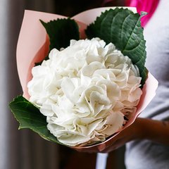 Букет цветов "Белая Гортензия"