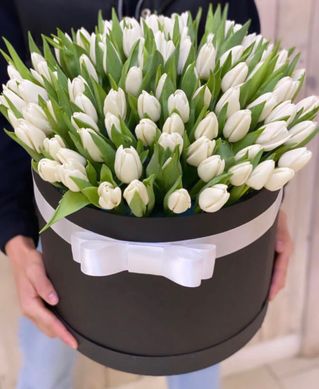 Букет 101 білих тюльпанів в коробці
