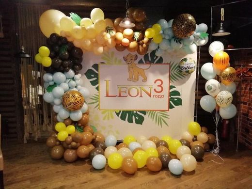 Фотозона з кульками "Леон"