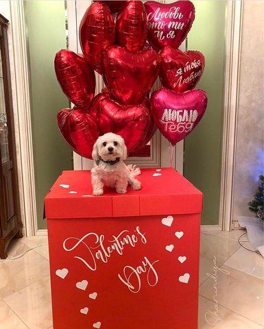 Подарункова коробка "Valentine's Day" з кульками