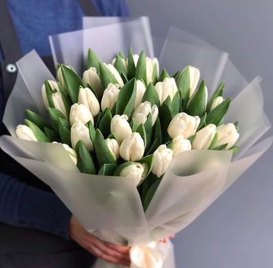 Букет цветов "33 тюльпана"